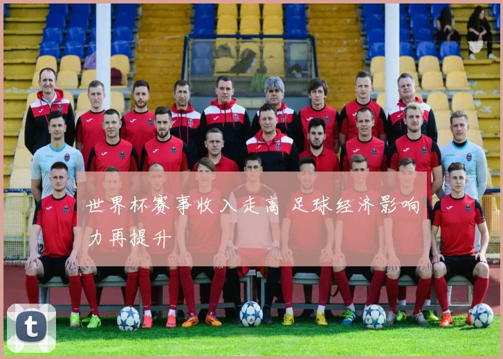 世界杯赛事收入走高 足球经济影响力再提升