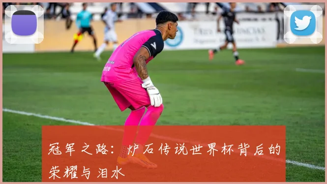 冠军之路：炉石传说世界杯背后的荣耀与泪水