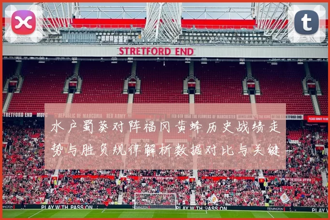 水户蜀葵对阵福冈黄蜂历史战绩走势与胜负规律解析数据对比与关键因素