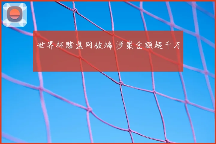 世界杯赌盘网被端 涉案金额超千万