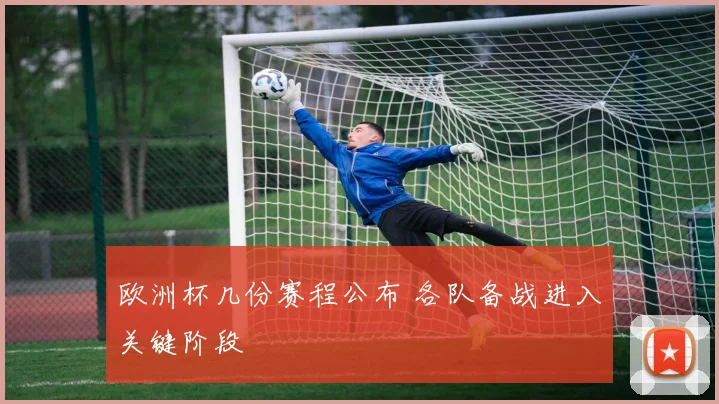 欧洲杯几份赛程公布 各队备战进入关键阶段