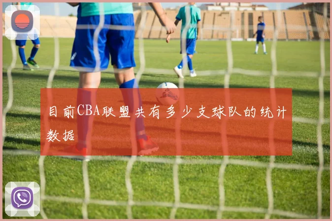 目前CBA联盟共有多少支球队的统计数据