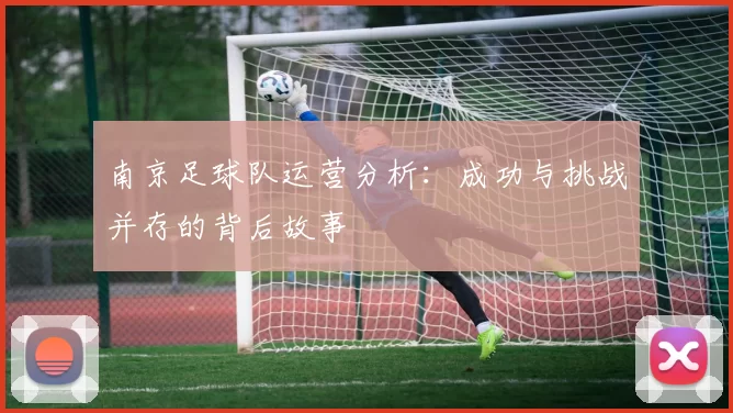 南京足球队运营分析：成功与挑战并存的背后故事