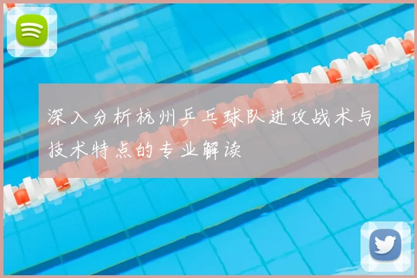 深入分析杭州乒乓球队进攻战术与技术特点的专业解读