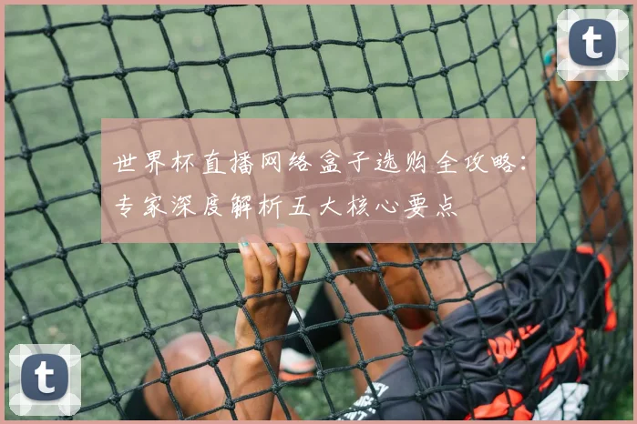 世界杯直播网络盒子选购全攻略：专家深度解析五大核心要点