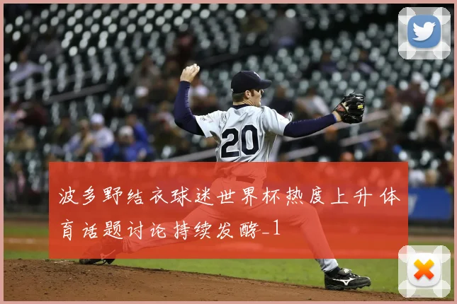 波多野结衣球迷世界杯热度上升 体育话题讨论持续发酵_1