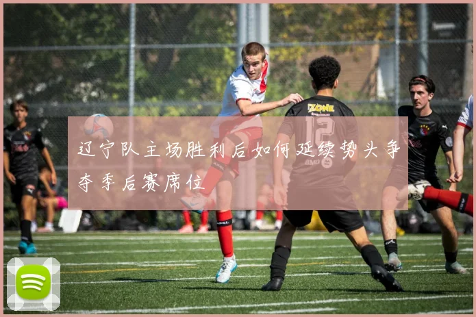 辽宁队主场胜利后如何延续势头争夺季后赛席位