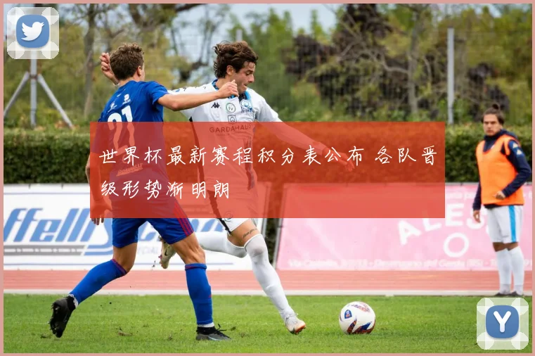 世界杯最新赛程积分表公布 各队晋级形势渐明朗