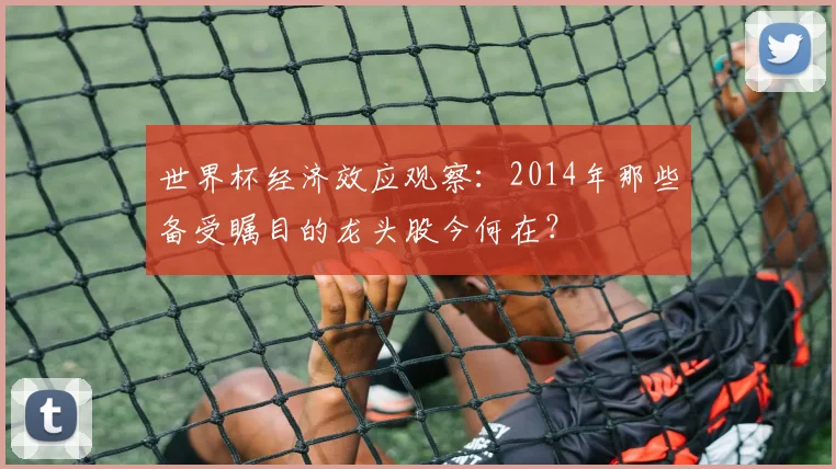 世界杯经济效应观察:2014年那些备受瞩目的龙头股今何在?