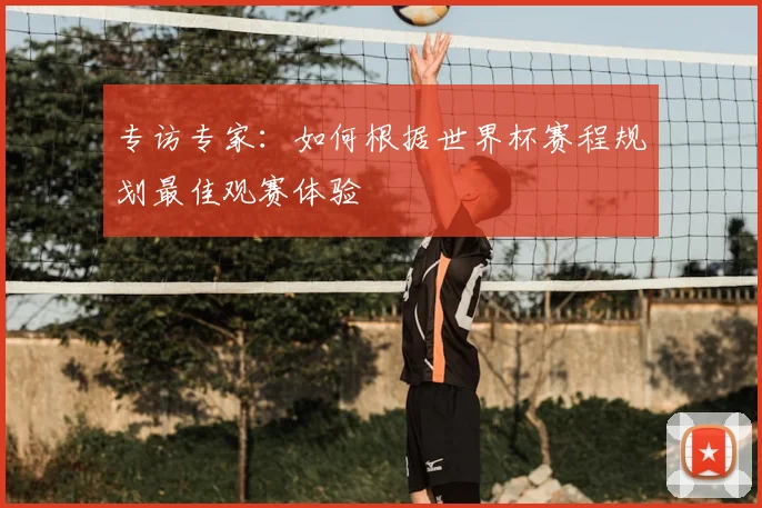 专访专家:如何根据世界杯赛程规划最佳观赛体验