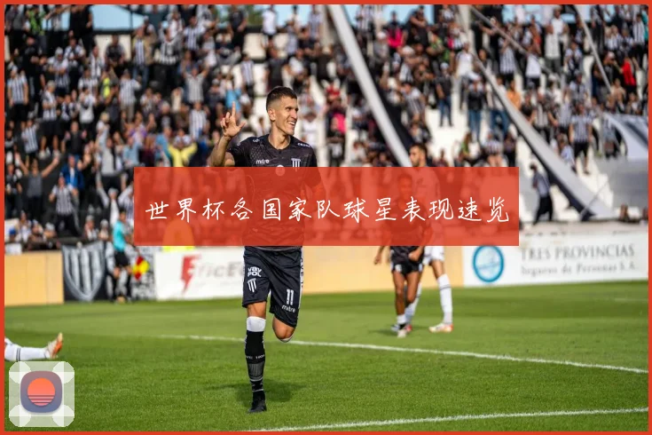 世界杯各国家队球星表现速览