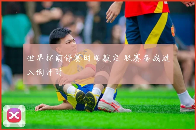 世界杯前停赛时间敲定 联赛备战进入倒计时