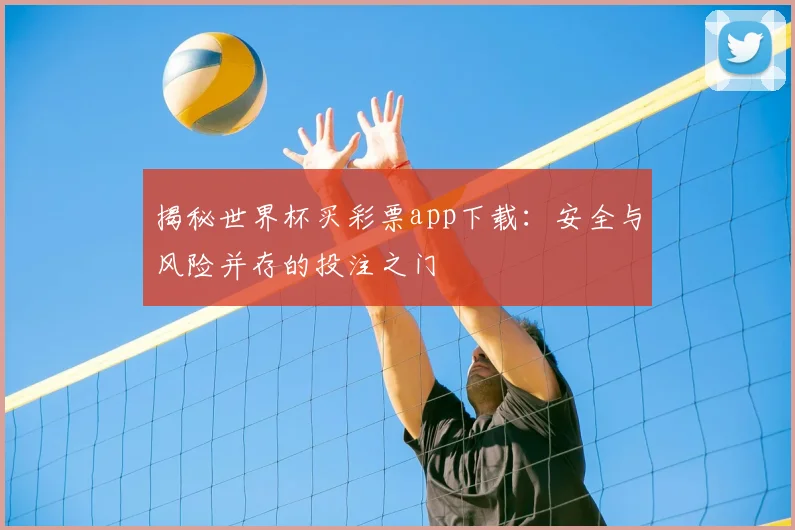 揭秘世界杯买彩票app下载：安全与风险并存的投注之门