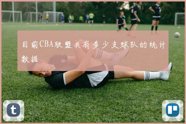 目前CBA联盟共有多少支球队的统计数据