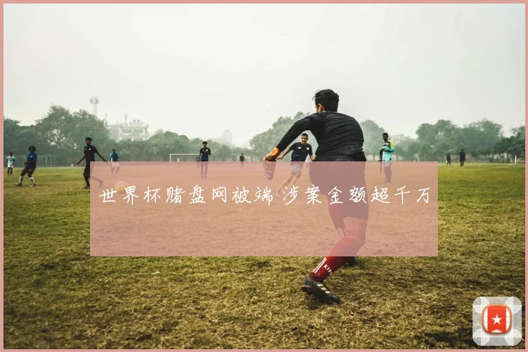世界杯赌盘网被端 涉案金额超千万