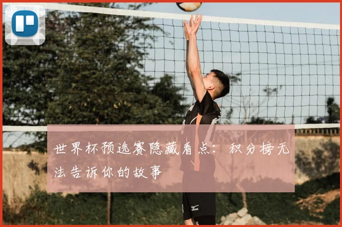 世界杯预选赛隐藏看点:积分榜无法告诉你的故事