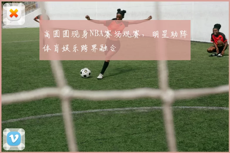 高圆圆现身NBA赛场观赛，明星助阵体育娱乐跨界融合