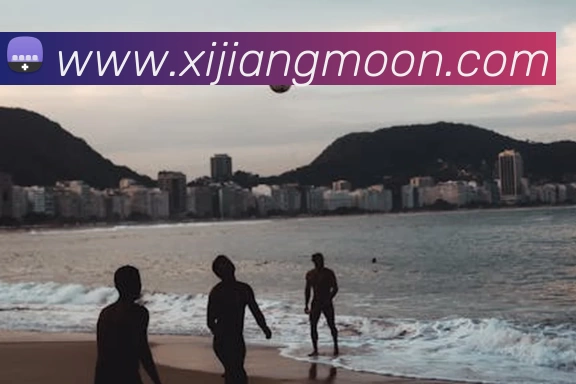 App Interface Preview